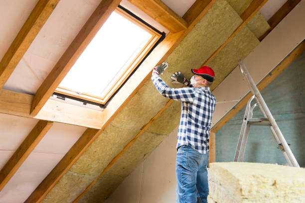 Types of Insulation We Offer in Dixon, CA