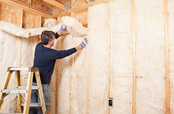 Best Wall Insulation Installation  in Dixon, CA